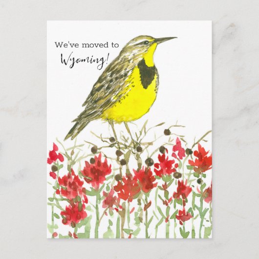Moving Announceming Meadowlark Paintbrush ポストカード (正面)