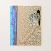 Moving Stones Death Valley California. ジグソーパズル (縦)