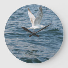 Möwe entführt Zeit