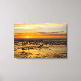 Möwen im Sonnenuntergang キャンバスプリント