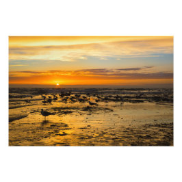Möwen im Sonnenuntergang フォトプリント