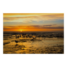 Möwen im Sonnenuntergang ポスター