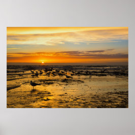 Möwen im Sonnenuntergang ポスター