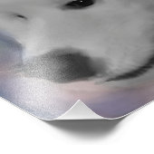 MoxieおよびBrioフォトプリント、12インチx 12インチ フォトプリント (角)