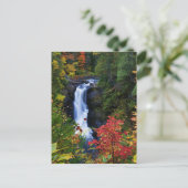 Moxie滝ズインメインハガキ ポストカード (スタンド正面)