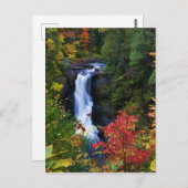 Moxie滝ズインメインハガキ ポストカード (正面/裏面)