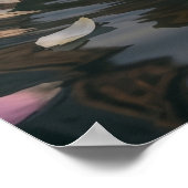 Mozzarella Swan Lagoon ポスター (角)