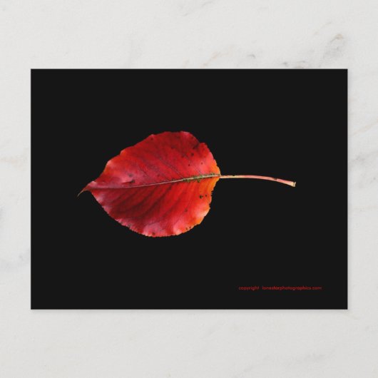 MP 0215Bリーフ2 WCポストカード ポストカード (正面)