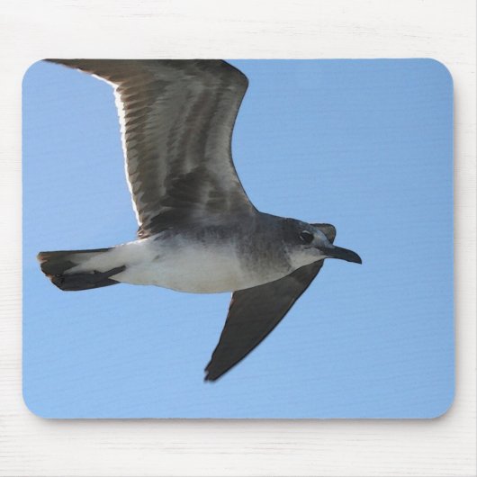 MP 6482のカモメ1 WC マウスパッド (正面)