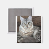 Mr.パピーソックス磁石#4 マグネット (正面/裏面)