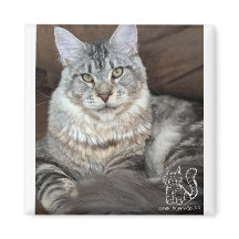 Mr.パピーソックス磁石#4