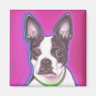 Mr.ピクルスは磁石を落とす マグネット