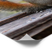 Mr Bickles The Squirrelポスター ポスター (角)