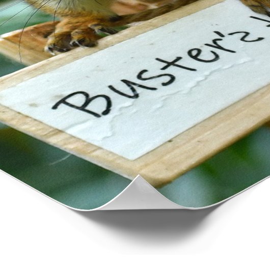 Mr Bickles The Squirrelポスター ポスター (角)