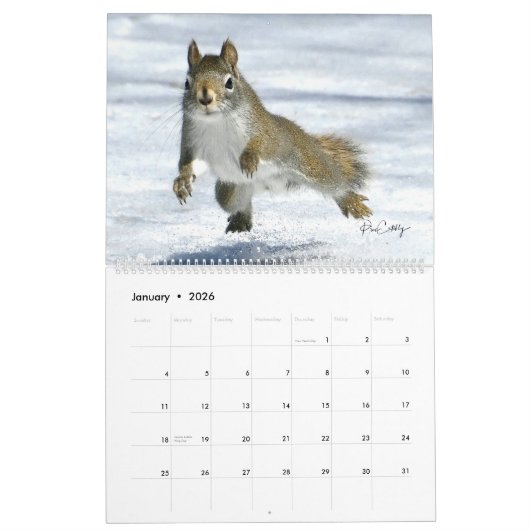 Mr. Bickles The Squirrel 2026 calendar カレンダー (1月 2026)