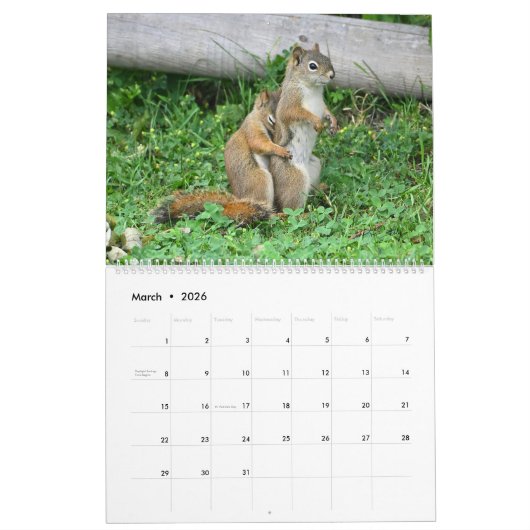 Mr. Bickles The Squirrel 2026 calendar large  カレンダー (3月 2026)