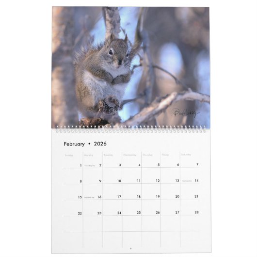 Mr. Bickles The Squirrel 2026 calendar large  カレンダー (2月 2026)