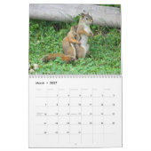 Mr. Bickles The Squirrel - medium calendar two pag カレンダー (3月 2027)