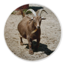 Mr. Bill セラミックノブ