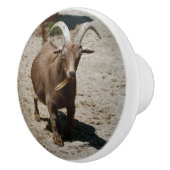 Mr. Bill セラミックノブ (右)