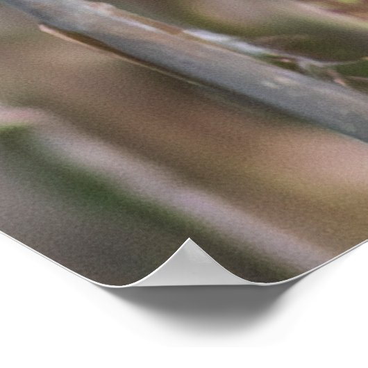 Mr. Blackbird ポスター (角)