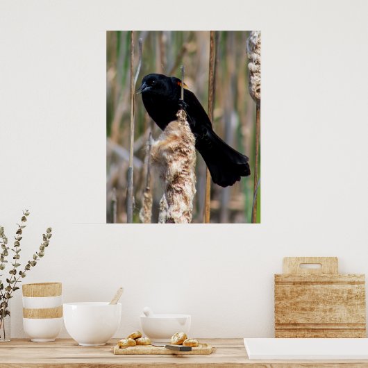 Mr. Blackbird ポスター (キッチン)