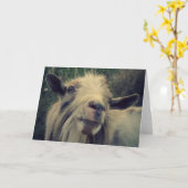 Mr. Gotye – カー空白のド カード (黄色い花)