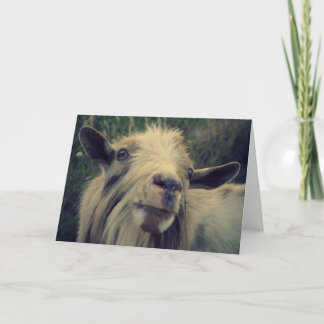 Mr. Gotye – カー空白のド カード