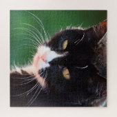 Mr. Hiskers - Cat Jigsawパズル- 20x20 - 676 pc ジグソーパズル (横)