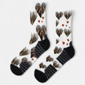 Mr.Mr.とMrs.の写真としてのバレンタインデー ソックス (左)