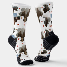 Mr.Mr.とMrs.の写真としてのバレンタインデー