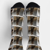 Mr.Mr.とMrs.の写真としてのバレンタインデー ソックス (上部)