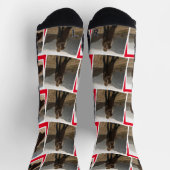 Mr.Mr.とMrs.の写真としてのバレンタインデー ソックス (上部)