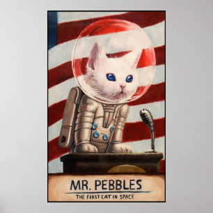 MR PEBBLES 高品質 - ポスター
