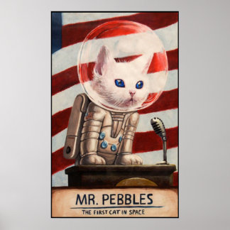 MR PEBBLES 高品質 - ポスター