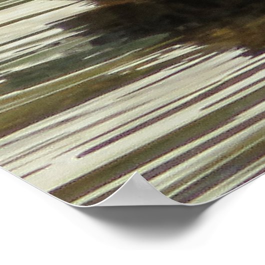 Mr. Quack ポスター (角)