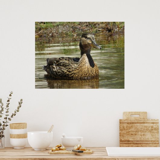 Mr. Quack ポスター (キッチン)