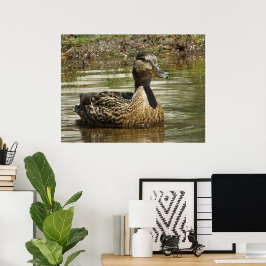 Mr. Quack ポスター (ホームオフィス)