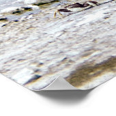 Mr.Rhino's Day at theビーチ・ポスター ポスター (角)