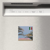 MRC004 SAN BENEDETTO DEL TRONT、冷蔵庫 マグネット (インサイチュ (食洗機))