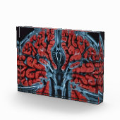 MRI脳スキャン フォトブロック (右)