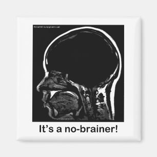 MRI:それは簡単ではない! マグネット