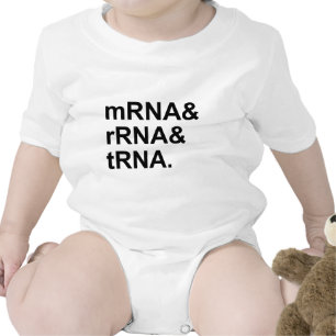 mRNAのrRNAのtRNA のタイプのRNA ベビーボディスーツ