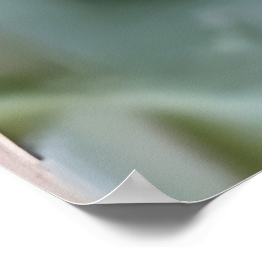 Mrs. Gould's sunbird  ポスター (角)