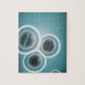 MRSAの構造 ジグソーパズル (縦)