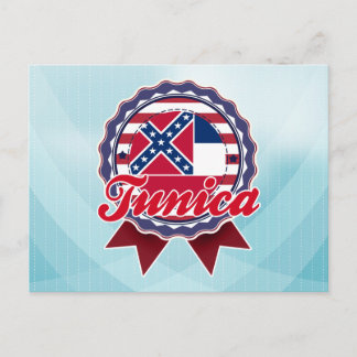 MSチュニカ ポストカード