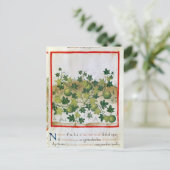 Ms 3054 fol.20 Melons, from 'Tacuinum Sanitatis' ポストカード (スタンド正面)