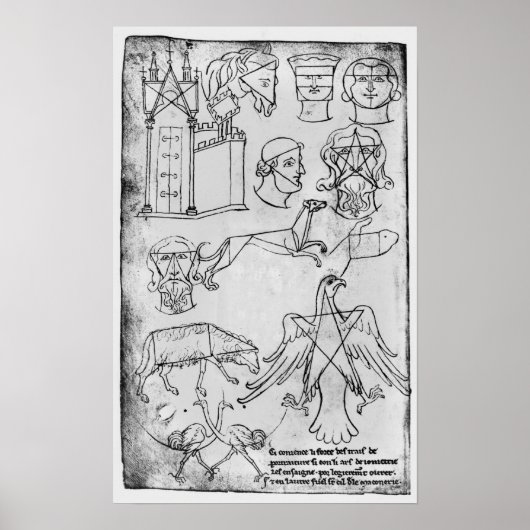 Ms Fr 19093 fol.18v各種スケッチ ポスター (正面)