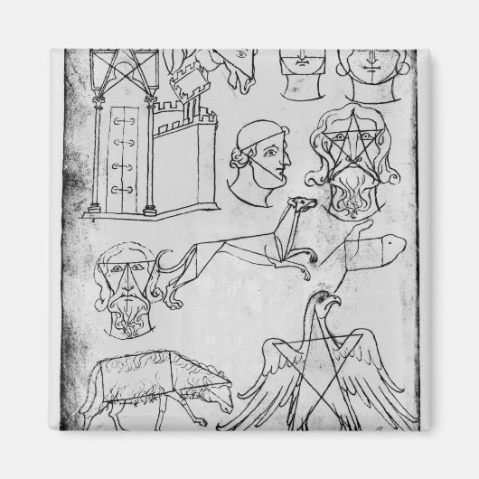 Ms Fr 19093 fol.18v各種スケッチ マグネット (正面)