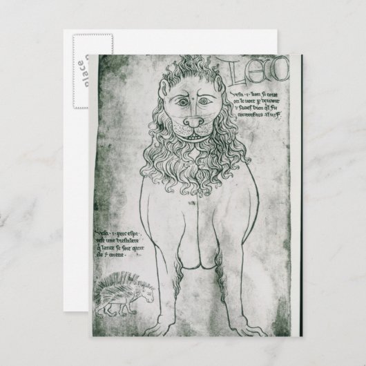 Ms Fr 19093 fol.24vライオンと山嵐 ポストカード (正面/裏面)